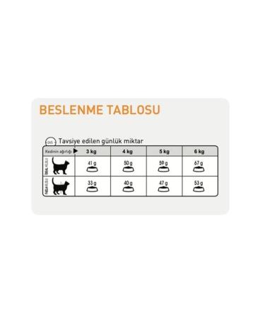 Royal Canin Hair & Skin Care Adult Cat Wet Food 85 gr *12 - Buy Online on GoSupps.com