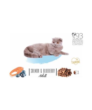 Natura Low Grain Salmon & Blueberry Adult Cat Dry Food 2.25 Kg - Buy Online on GoSupps.com