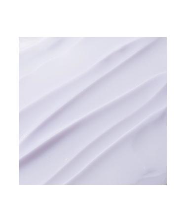 Numbuzin No.1 Purple Complex Moisture Balancing Soothing Cream 100ml - Moisture Balancing Soothing Face Cream - Buy Online on GoSupps.com