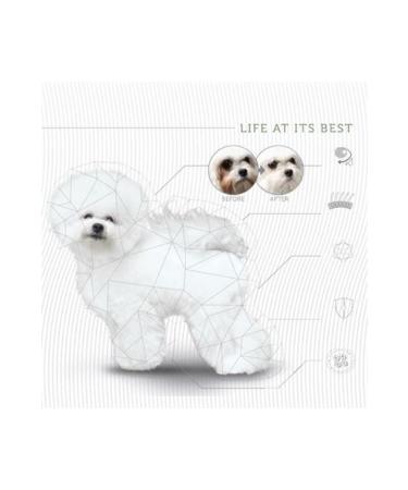 Nature's Protection Grain Free x Animal Protein Fish Small Breed White Dog Food 10 Kg - Buy Online on GoSupps.com