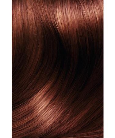 L'Oreal Paris Excellence Intense Hair Dye 5.52 Warm Chestnut - Buy Online on GoSupps.com