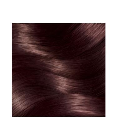 Garnier Striking Colors 4.15 Frosted Chestnut - Buy Online on GoSupps.com