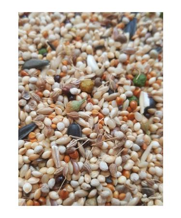 Dal Millet Net Cockatiel Food 500 gr - Buy Online on GoSupps.com