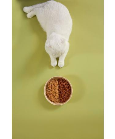 Kito Kitten Food 2 KG + Salmon Meat Kito Fresh X 6 - Buy Online on GoSupps.com