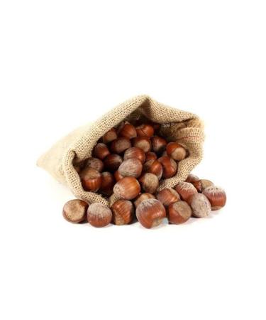 FAMOUS NUTS Giresun Oily Hazelnut 1st quality Shelled Hazelnut - new crop