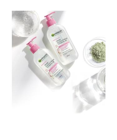 Garnier Jellian Micellar Perfect Make-Up Remover Gel 200 Ml 3600542010740 - Buy Online on GoSupps.com