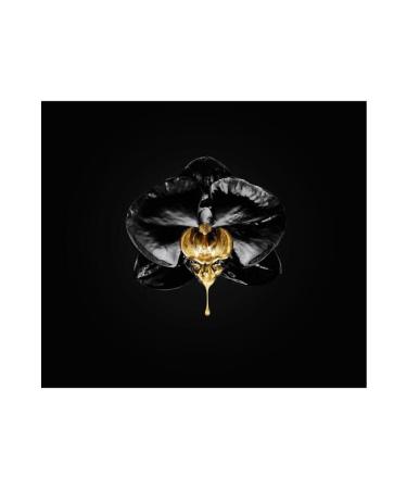 L'Oreal Paris Volume Million Lashes Mascara Cannes Collection Special Design 3600523905867 - Buy Online on GoSupps.com