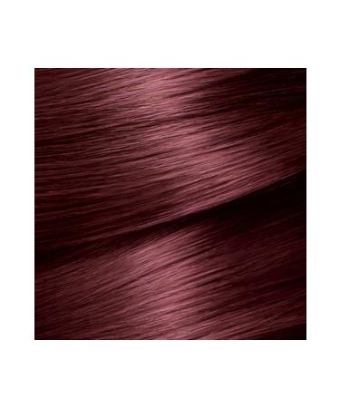 Garnier Color Naturals Chestnut Red (4.6) Hair Dye - Buy Online on GoSupps.com
