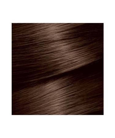 Garnier Color Naturals Hair Dye 4 Brown - Buy Online on GoSupps.com