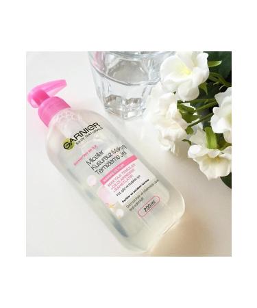 Garnier Jellian Micellar Perfect Make-Up Remover Gel 200 Ml 3600542010740