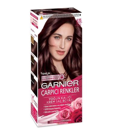 Garnier Striking Colors 4.15 Frosted Chestnut - Buy Online on GoSupps.com