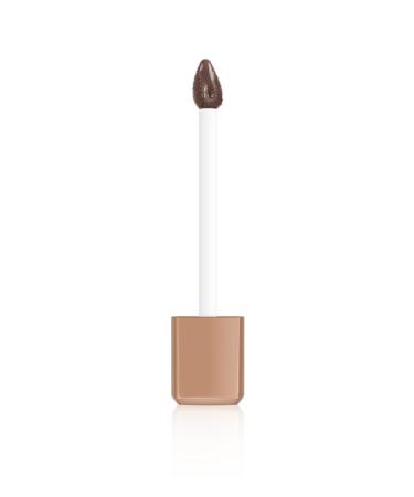 L'Oreal Paris Les Chocolats Ultra Matte Liquid Lipstick 856 Yum 3600523643974