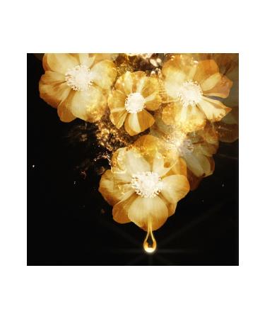 Elseve L'or al Paris 6 Miracle Oil Shampoo 550 ml - Buy Online on GoSupps.com