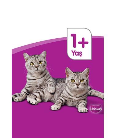 Whiskas Adult Chicken Dry Cat Food 3.8 Kg - Buy Online on GoSupps.com