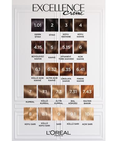L'Oreal Paris Excellence Creme Hair Dye - 6.1 Ash Light Brown - Buy Online on GoSupps.com
