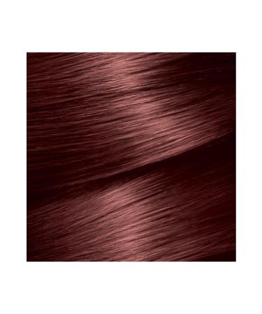 Garnier 3-Piece Garnier Color Naturals 5.52 Chocolate Coffee Set 36005403106131 - Buy Online on GoSupps.com