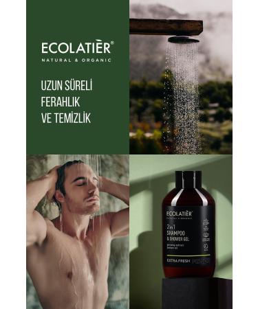 ECOLATIER 2 in 1 Men's Shampoo and Shower Gel Extra Fresh Ginseng Balancing Active Detox 400 ml - Buy Online on GoSupps.com