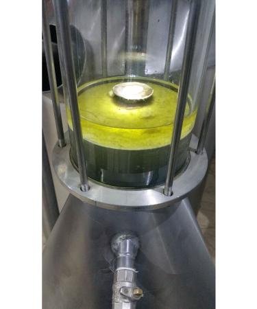 G LK YL ROSE YEAST 100 ml - Buy Online on GoSupps.com