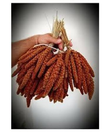 zdemir Petshop Red Branch Millet 1 kg