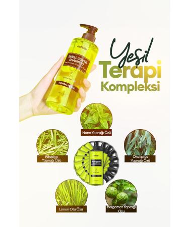Kundal Sebum Balancing Care Shampoo for Young People KUNDAL Smell Cover Shampoo 400ml (Tropical Mango) - Buy Online on GoSupps.com