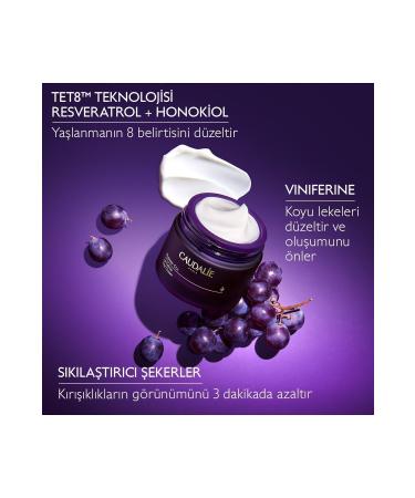 Caudalie Premier Cru Day Care Cream - Spare capsule 50 ml - Buy Online on GoSupps.com