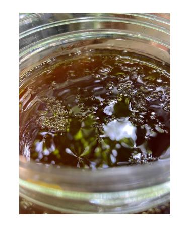 Home Pure honey pine honey 3 900 grams