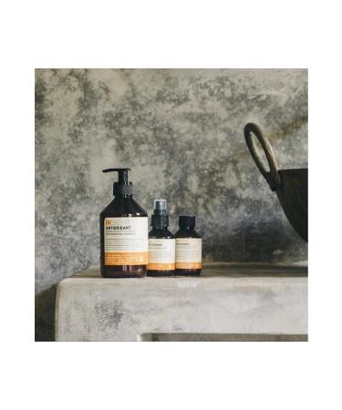 Insight Antioxidant Regenerating and Protective Mask 500 Ml 8029352150173 - Buy Online on GoSupps.com