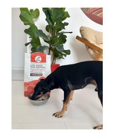 Kito Natural Fattening Lamb Adult Mini Breed Dog Food 2.5 Kg - Buy Online on GoSupps.com