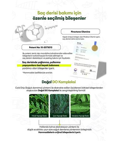 Kundal Sebum Balancing Care Shampoo for Young People KUNDAL Smell Cover Shampoo 400ml (Tropical Mango) - Buy Online on GoSupps.com