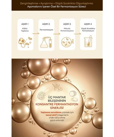 Missha Anti-Wrinkle Care Cream 50ml Time Revolution Immortal Youth Cream - Buy Online on GoSupps.com