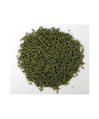 AMORE Turtle Sticks 1000ml and Ahm Turtle Sticks 250ml Box Turtle Food - Buy Online on GoSupps.com