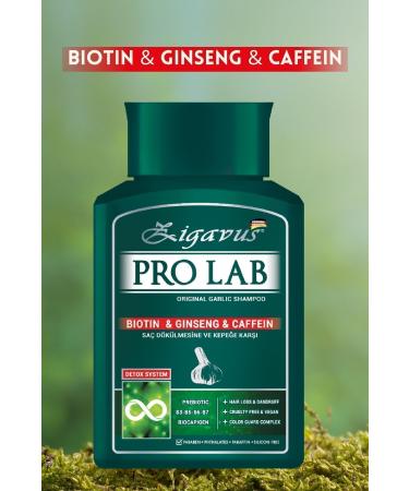 Zigavus Pro Lab Shampoo 300 ml Buy 3 Pay 2 - Garlic Caffeine Biotin Ginseng Extract 8699349130770 - Buy Online on GoSupps.com