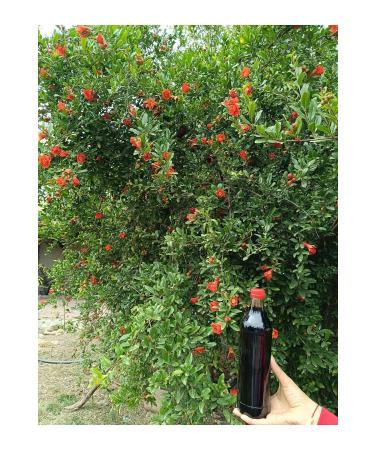 Pomegranate syrup from the lady's hand 1000gr - Buy Online on GoSupps.com