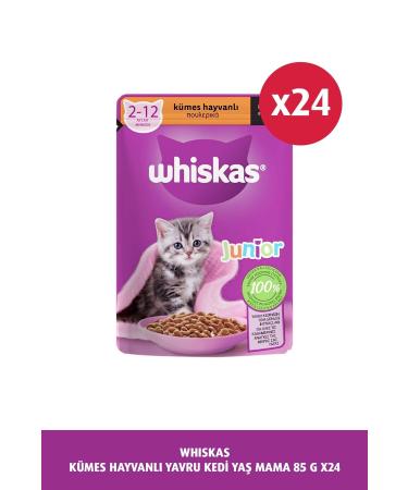 Whiskas Poultry Kitten Wet Food 85 gr 24x