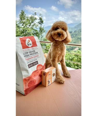 Kito Natural Fattening Lamb Adult Mini Breed Dog Food 2.5 Kg - Buy Online on GoSupps.com