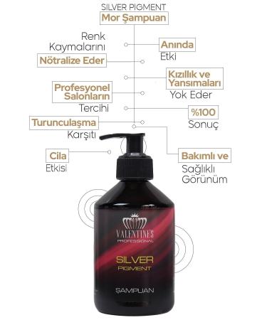 VALENTINES PROFESSIONAL Premium Silver Pigment Purple Shampoo / Like Freshly From the Hairdresser With Every Wash - Buy Online on GoSupps.com