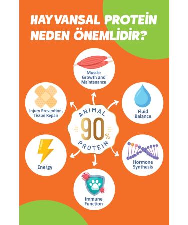 Solomon Sterilized Salmon Super Premium Cat Food 1.5 Kg - Hypoallergenic - Low Grain - Buy Online on GoSupps.com