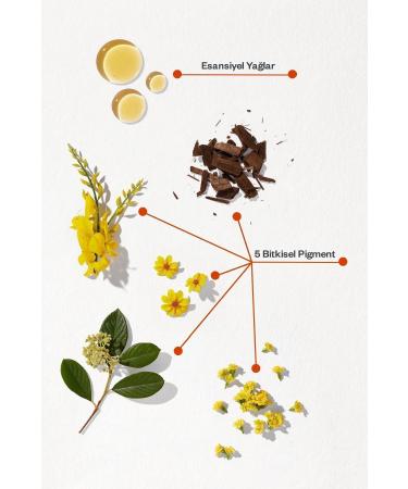 Phyto Phytocolor 7.3 Auburn Dore Ammonia-Free Permanent Herbal Hair Dye - Buy Online on GoSupps.com