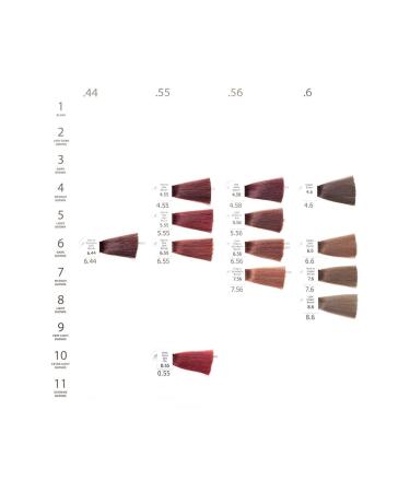 Natulika (seven Pigment) Organic Hair Dye 5.07 Chocolate 60 Ml - Buy Online on GoSupps.com