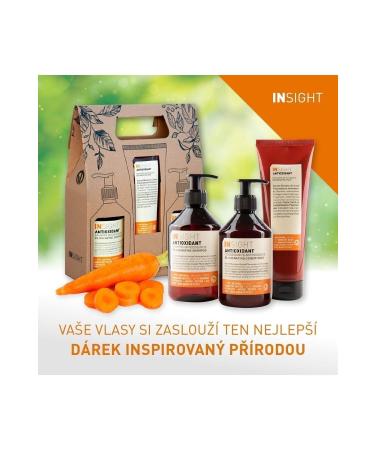 Insight Antioxidant Regenerating and Protective Mask 500 Ml 8029352150173 - Buy Online on GoSupps.com