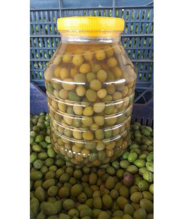 S ylemez Zeytincilik Gemlik Green Olives (Sweetened-Unbroken) 5 Pet