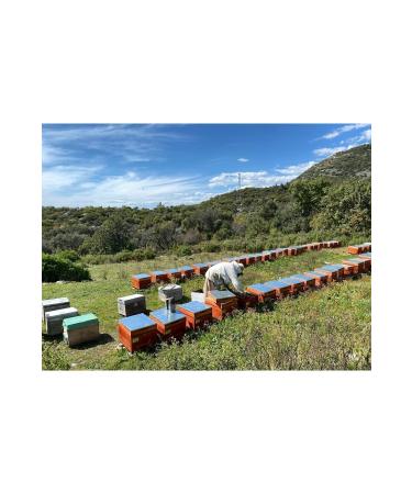 ALPARBALL Alpar Honey Natural Wild Honey Squeezed 300 gr - Buy Online on GoSupps.com