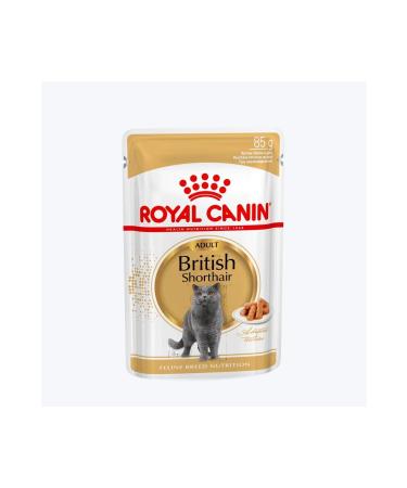 Royal Canin Special Adult Cat Food for British Shorthair 85 gr * 12 Pieces