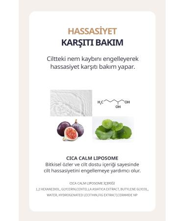 Missha Fine Textured Smooth Appearance Concealer Stay Tip Concealer High Cover 21P(Fair) - Buy Online on GoSupps.com