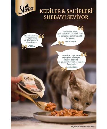 SHEBA Adult Cattle Wet Food 85 G 12X - Buy Online on GoSupps.com