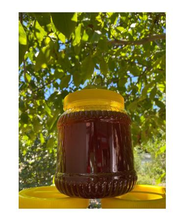 Home PINE HONEY 2 KG - Buy Online on GoSupps.com