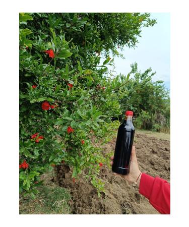 Pomegranate syrup from the lady's hand 1000gr