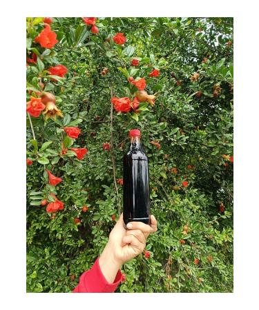 Pomegranate syrup from the lady's hand 1000gr - Buy Online on GoSupps.com