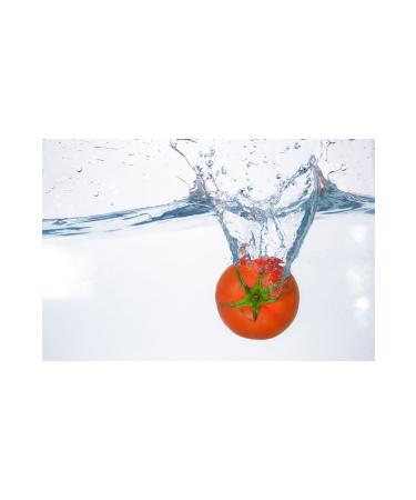 PROX LYT Water Based Alcohol-Free (HYPOCHLOROUS) Food Area Disinfectant 5 Liters Concentrate - Buy Online on GoSupps.com