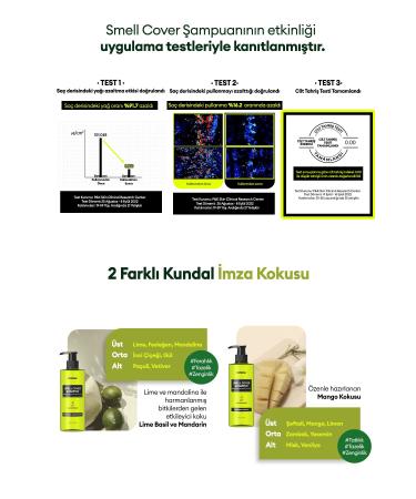 Kundal Sebum Balancing Care Shampoo for Young People KUNDAL Smell Cover Shampoo 400ml (Tropical Mango) - Buy Online on GoSupps.com